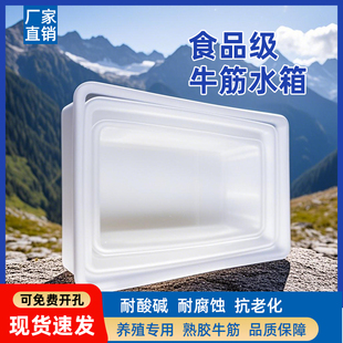 水箱加厚收纳洗车塑料大容量大号洗车桶牛筋耐用防晒养殖箱水产箱