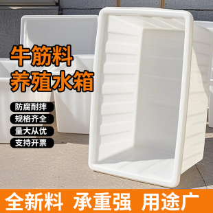 牛筋塑料水箱长方形水产养殖养鱼槽卖鱼胶盆储水桶方箱养龟箱加厚