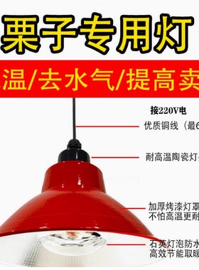 卖板栗吊灯红色铝罩照明灯具卤肉卤菜熟食榛子坚果灯保温加热灯泡