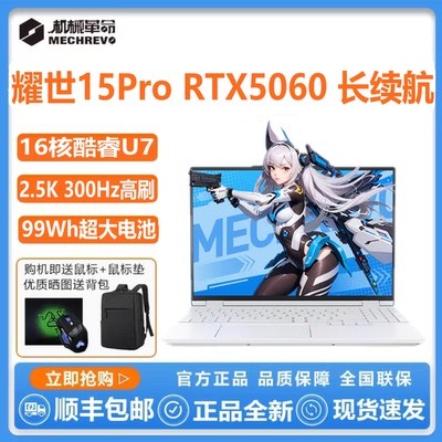 机械革命极光X耀世15Pro5060