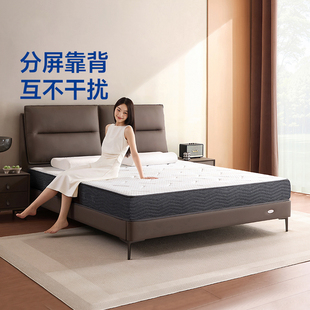 梦百合星云意式极简落地床高端大气主卧真皮大床2025新款实木床架