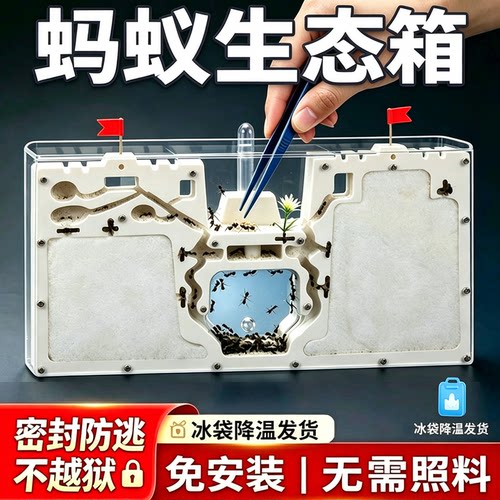 【2026】蚂蚁生态箱超大型双城堡