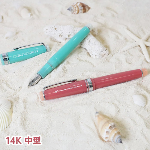 日本SAILOR写乐 海洋钢笔 平顶墨水笔 14K中型 21K大型