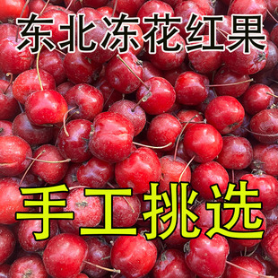 （大果）东北特产冻花红果海红果沙果水果新鲜速冻酸甜大果