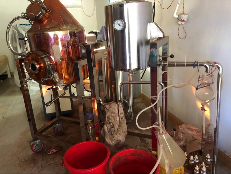 海南小叶降真香蒸馏精油纯净原汁原味泡酒入药用浓郁耶香味3克装