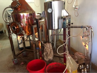 海南小叶降真香蒸馏精油纯净原汁原味泡酒入药用浓郁耶香味3克装