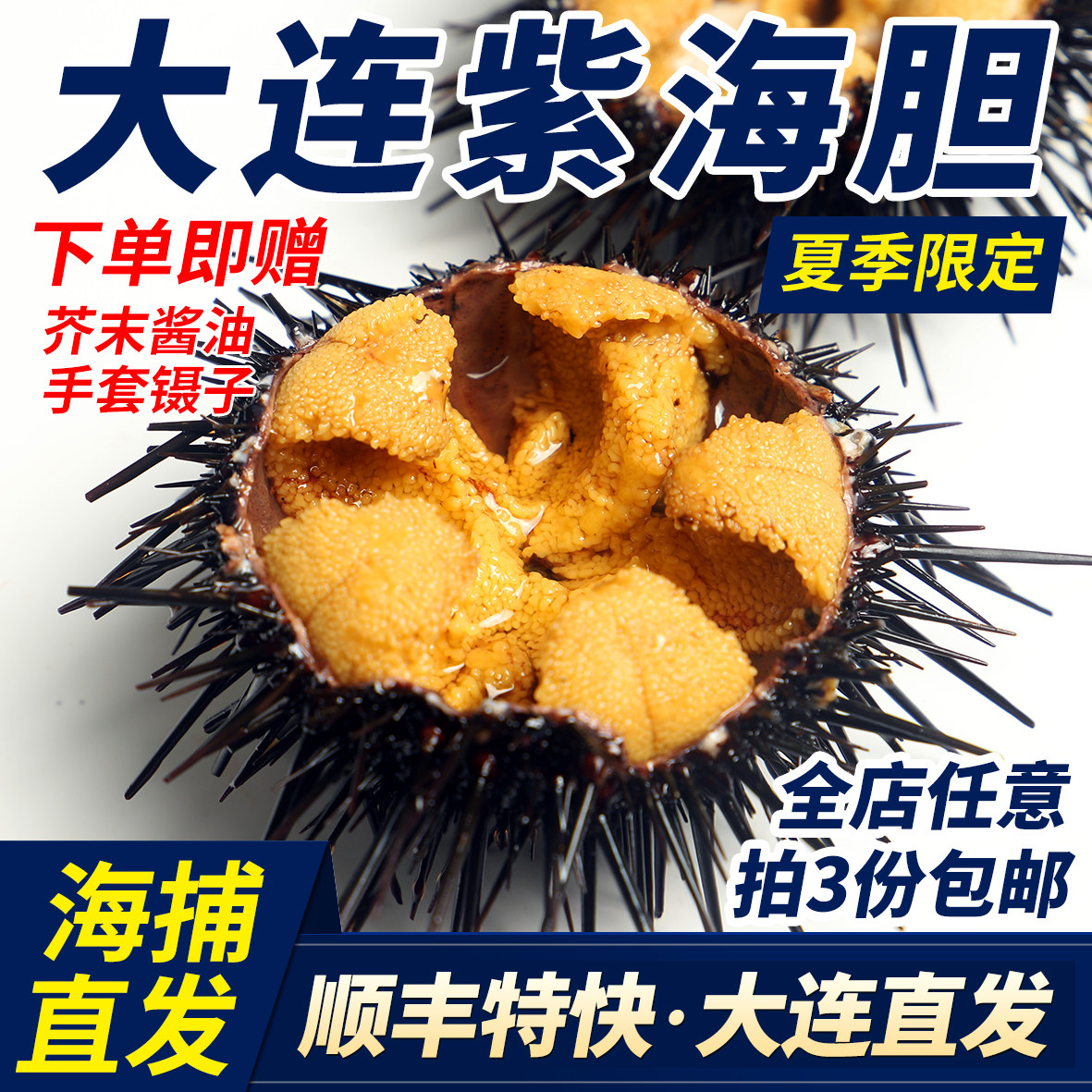 大连紫海胆活海胆鲜活新鲜马粪海胆黄海胆水产生鲜刺锅大号1斤4只
