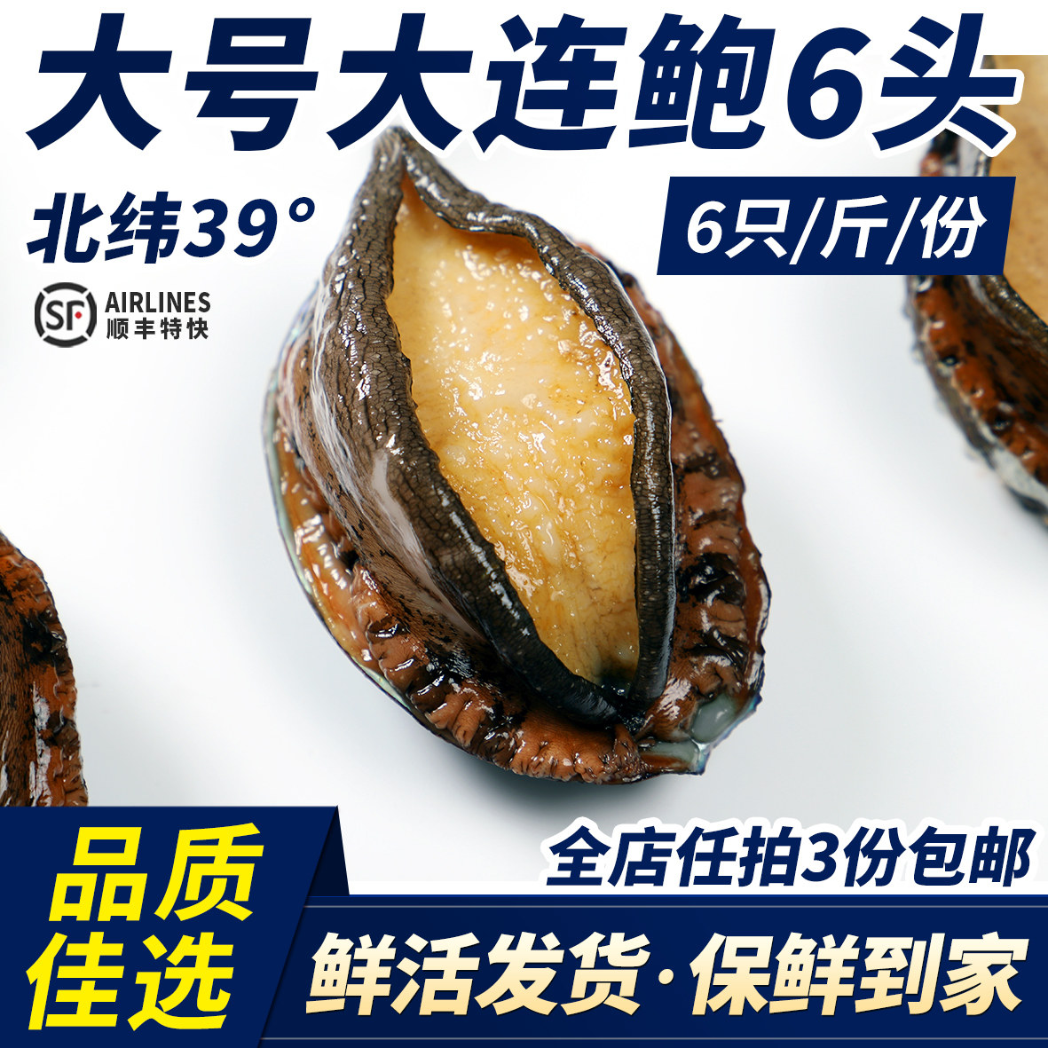 大连鲜活6头鲍鱼皱纹盘鲍九孔 海鲜水产活体超大鲍鱼新鲜1斤6只