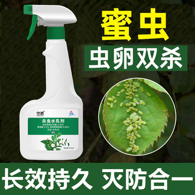 治蜜虫杀虫剂药去虫药除打蜜防灭月季花蜜克驱去除非专杀喷剂油星