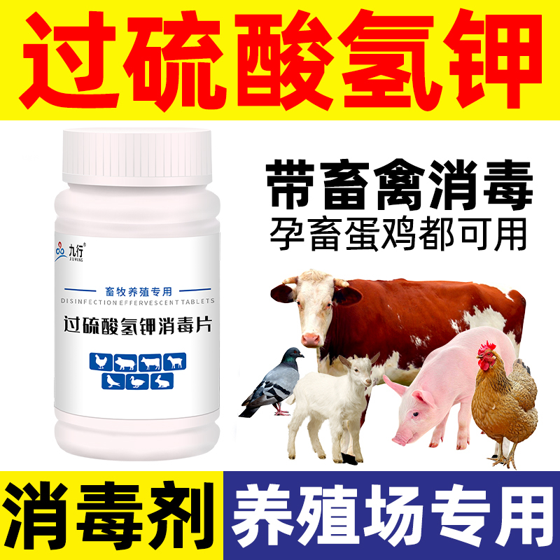 过硫酸氢钾消毒剂养殖场专用消毒液牛用羊场杀菌兽用猪圈鸡鸭鹅兔