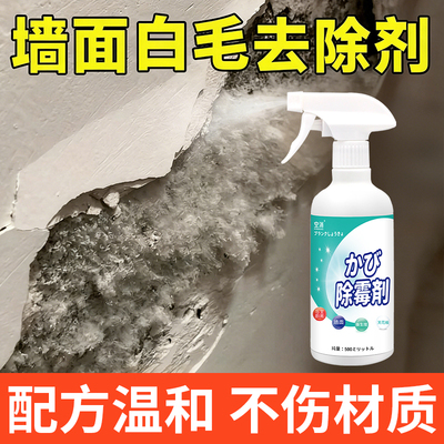 墙体白毛除霉剂乳胶漆墙面长毛发毛清洗墙壁霉菌潮湿返潮发霉清洁