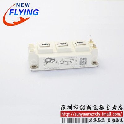 skm300gb063d功率模块