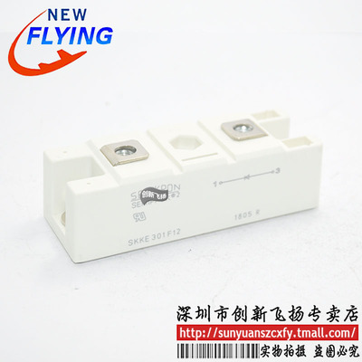 SKKE301F06/F08/F12/F14/F16/F18功率模块全新可直拍