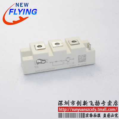 SKM100GAR121D/123D/124D/128D功率模块IGBT全新100A1200V可直拍
