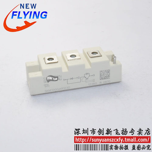 SKM100GAR121D/123D/124D/128D功率模块IGBT全新100A1200V可直拍
