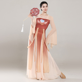 古典舞蹈服女中国舞蹈演出服装 纱衣 汉唐齐胸飘带身韵飘逸长款