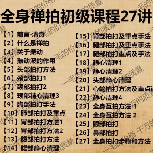全身禅拍初级课程视频24讲全身拍打疏通经络中医视频百度网盘