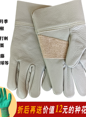 防刺手套摘花椒修剪月季花玫瑰打刺捡板栗子牛皮园林园艺防护防扎