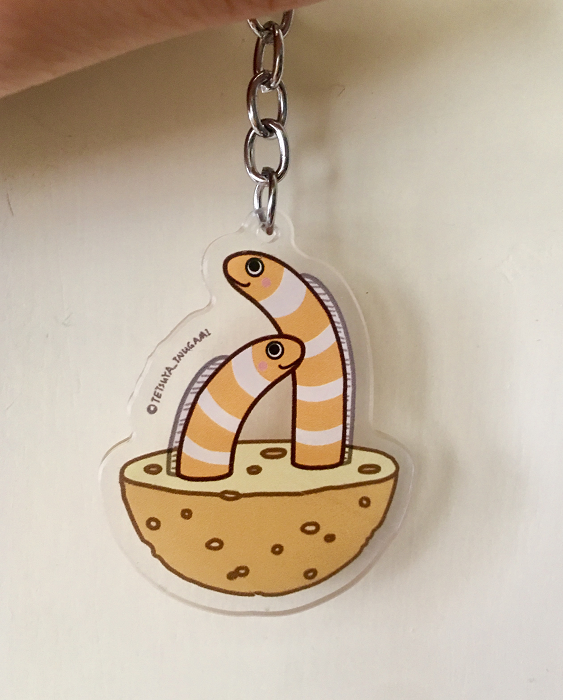 Tri-pgo花园透明亚克力钥匙圈