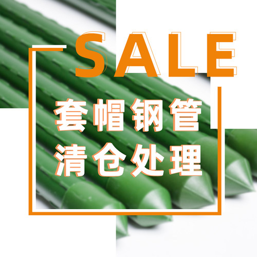 爬藤架包塑钢管爬藤杆园艺花支柱大棚种菜架子瓜棚支架番茄支撑杆