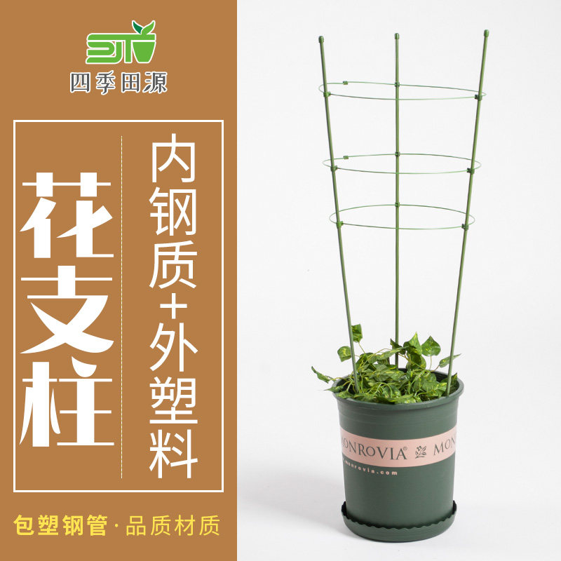 园艺用品藤本爬藤架花支架植物铁艺花架月季爬藤架铁环花支柱