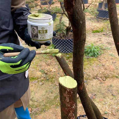 植物伤口愈合剂树木切口盆景果树嫁接树皮锯剪口愈合剂涂膜膏