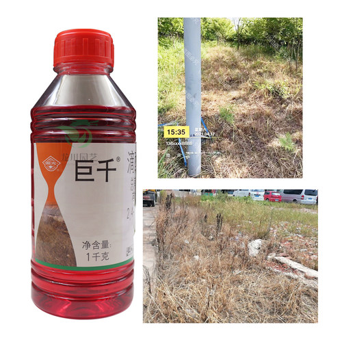 国光巨千滴酸草甘膦非耕地杂草快速除1年生多年生杂草除草剂烂根