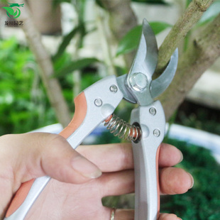 修枝剪花卉苗木果树剪刀园艺园林盆景绿植月季家用户外修剪工具