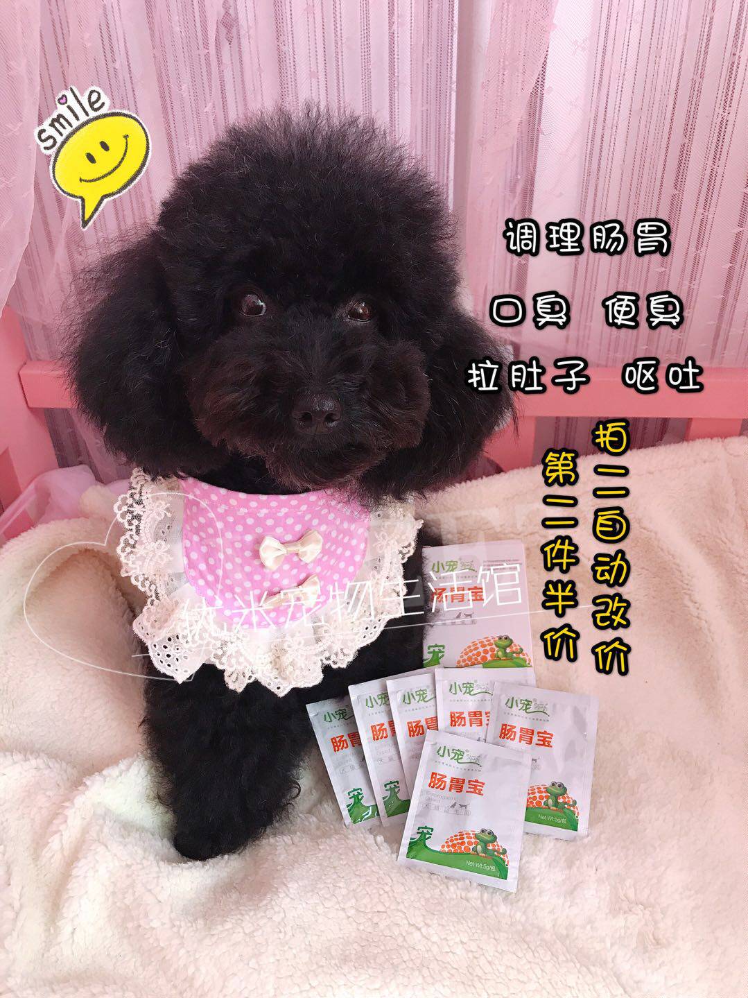 艾米优优自用小宠EHD肠胃宝 宠物猫咪狗犬益生菌调理腹泻整盒10袋