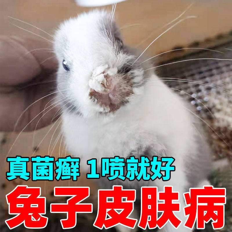 兔子皮肤病喷雾真菌兔癣红肿溃烂掉毛特效药耳螨结痂脚皮炎兔子药