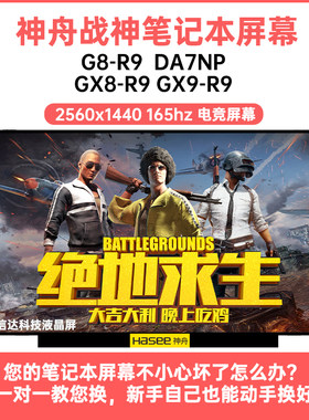 神舟 战神G8-R9  DA7NP GX8-R9 GX9-R9显示液晶屏幕165HZ电竞屏幕
