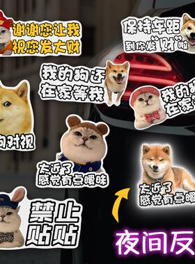 耄耋车贴宠物搞笑车贴磁吸定制太近了感觉有点暧昧两狗对视