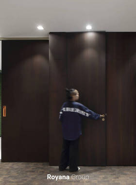 诺雅娜royana图纸及资料（现代意式极简)容量大小：1.54 GB，