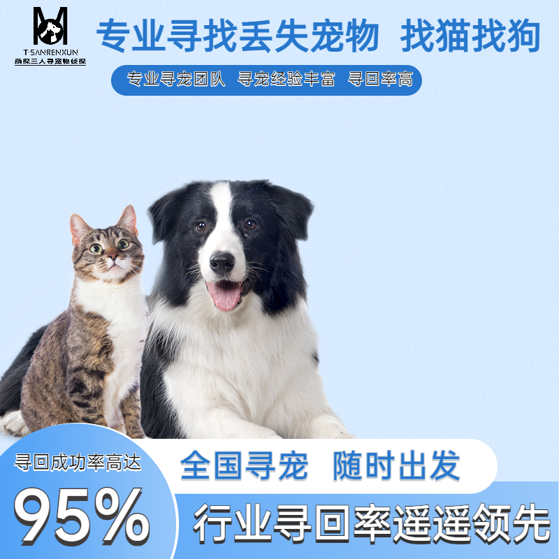 成都寻猫寻狗团队找猫团队找狗