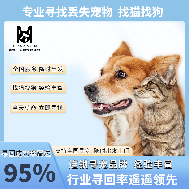 找猫团队找狗团队专业寻找丢猫团队寻猫寻宠团队寻狗寻猫寻宠救援