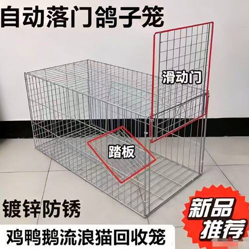滑倒门自动落门收鸽笼鸽子回收鸡鸭鹅鸽子流浪猫狗救助笼鸠班笼子