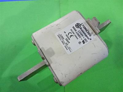170M6306 快速熔断器美国BUSSMANN原装保险丝900A1300VAC全新