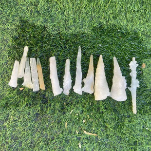 钟乳石原石中药材正品天然石钟乳 鹅管石 滴管石中芦石滴乳石精品