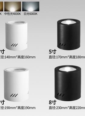 led明装筒射灯4寸5寸6寸8寸圆形店铺吸顶式商场cob工程款明装筒灯