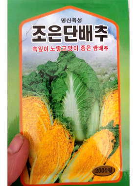 韩国进口微型四季种植娃娃菜