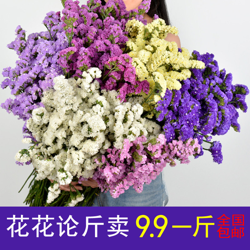 云南勿忘我干花花瓶摆件客厅插花干花花束真花满天星情人草称斤|ruв категории Домашний быт, ваза/цветок/искусственные цветы/моделирование украшения, сушеные цветы/лепесток/сушеные цветы пакет/сухие ветки - от Buy2taobao.com для оказания профессиональной услуги покупки агента Taobao