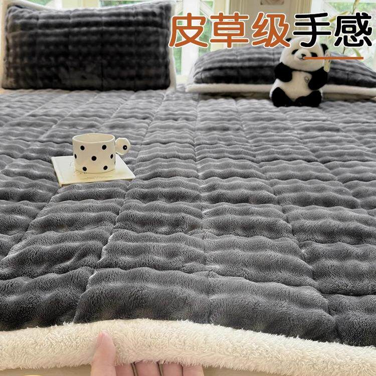 床垫软垫家用卧室冬季加厚保暖垫子单双人床褥垫加绒防滑垫被褥子