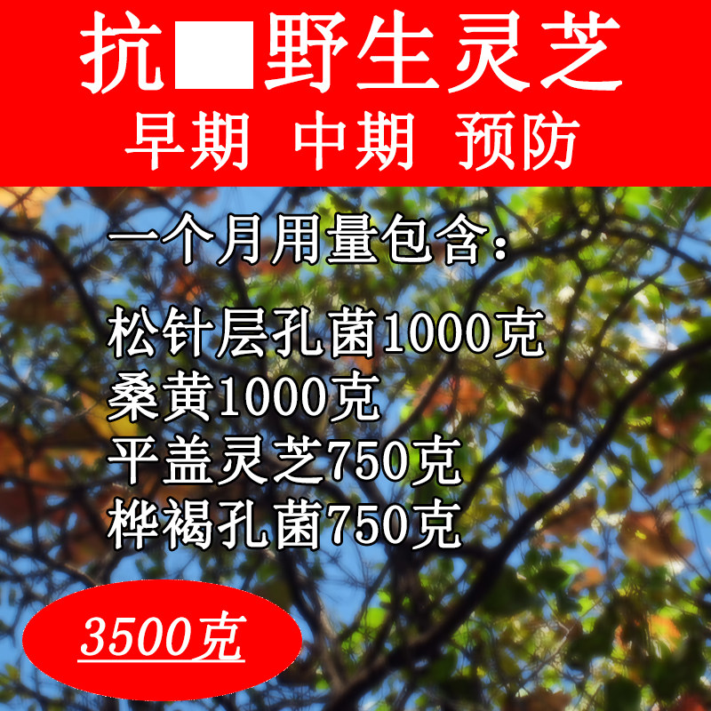 共7斤 野生长白山平盖灵芝 松针层孔菌 暴马丁香桑黄 桦褐孔菌
