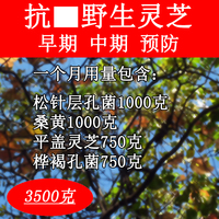 共7斤 野生长白山平盖灵芝 松针层孔菌 暴马丁香桑黄 桦褐孔菌