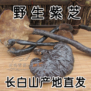 野生紫芝 250克 长白山野生紫灵芝