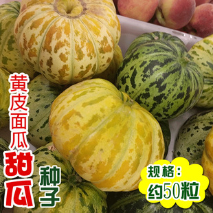 黄皮面瓜种子 农田菜园嫩瓜花皮肉厚红肉红瓤甘面瓜香味浓甜瓜籽