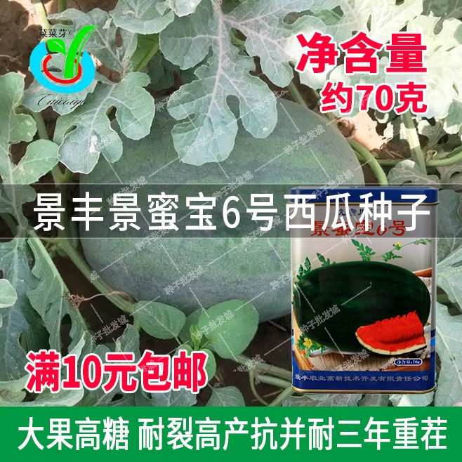 农业高产抗重茬特大西瓜种子