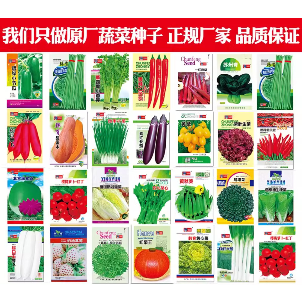 四季蔬菜种子南北方农家阳台盆栽家庭园艺种子