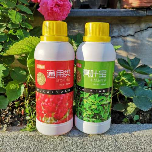 植物营养液养花花肥竹子发财树