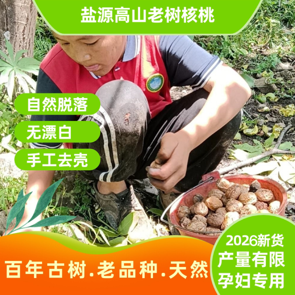 干核桃凉山高山老树薄皮核桃原味图片